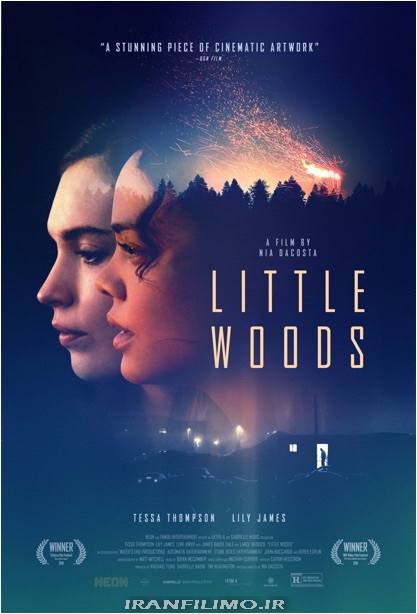 دانلود فیلم جنگل کوچک Little Woods 2018